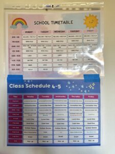 Their daily schedules