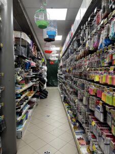 The Everything Store!
