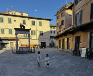 Chasing pigeons