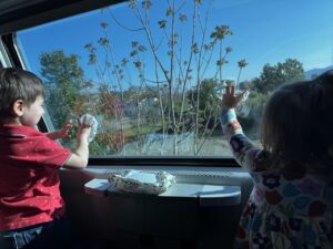 IMG_0164 Large Washing the train windows (bc of course)