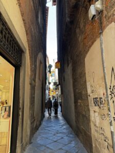 IMG_0339 Large Beautiful alleys