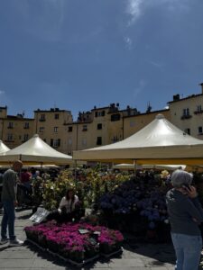 IMG_0340 Large Piazza dell'Anfiteatro