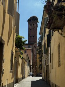 IMG_0352 Large Torre Guinigi