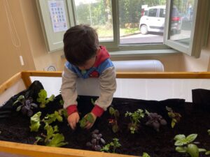 IMG_1669 Planting