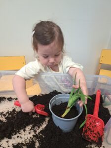 Toddle-bec88296-aa27-4602-929e-5219449577c6-Ilaria_20260415_1542_07