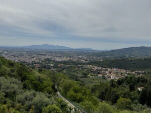IMG_0448 Large