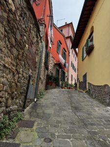 IMG_0452 Large