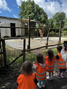 Giraffe