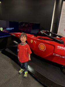 By the simulators
