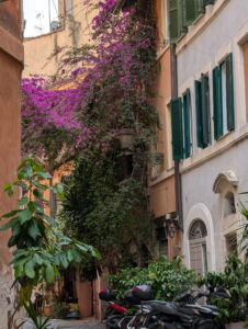 Spring in Rome
