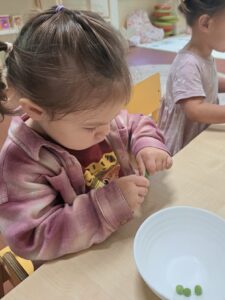 Toddle-d0d8dc5e-9f17-475c-8452-0441b90a552b-Ilaria_20260521_1610_08