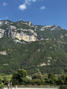IMG_1114 Large