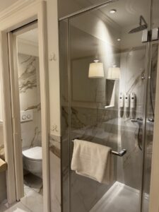 Shower for adults