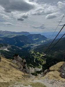 IMG_1166 Large
