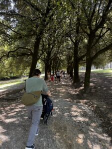 IMG_1312 Large